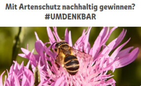 Gewinnspiel: REWE