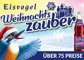 Gewinnspiel: Eisvogel